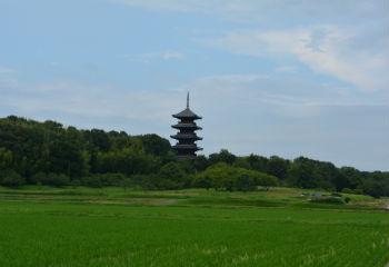Cycling in Okayama Prefecture, 2015