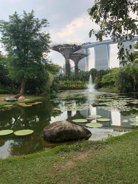 Bridget Singapore gardens