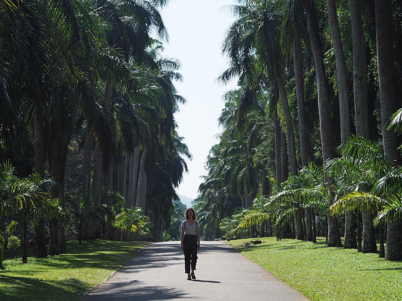 Ellen Schulz in Sri Lanka 2