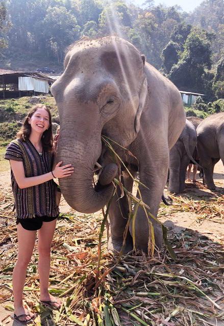 Bridget Smart elephant