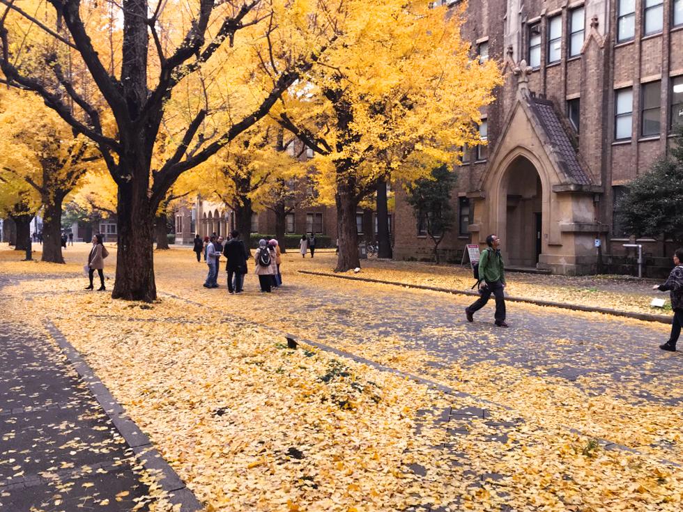 Chris - UTokyo Campus 2