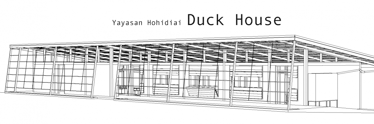 Michael duck house 1