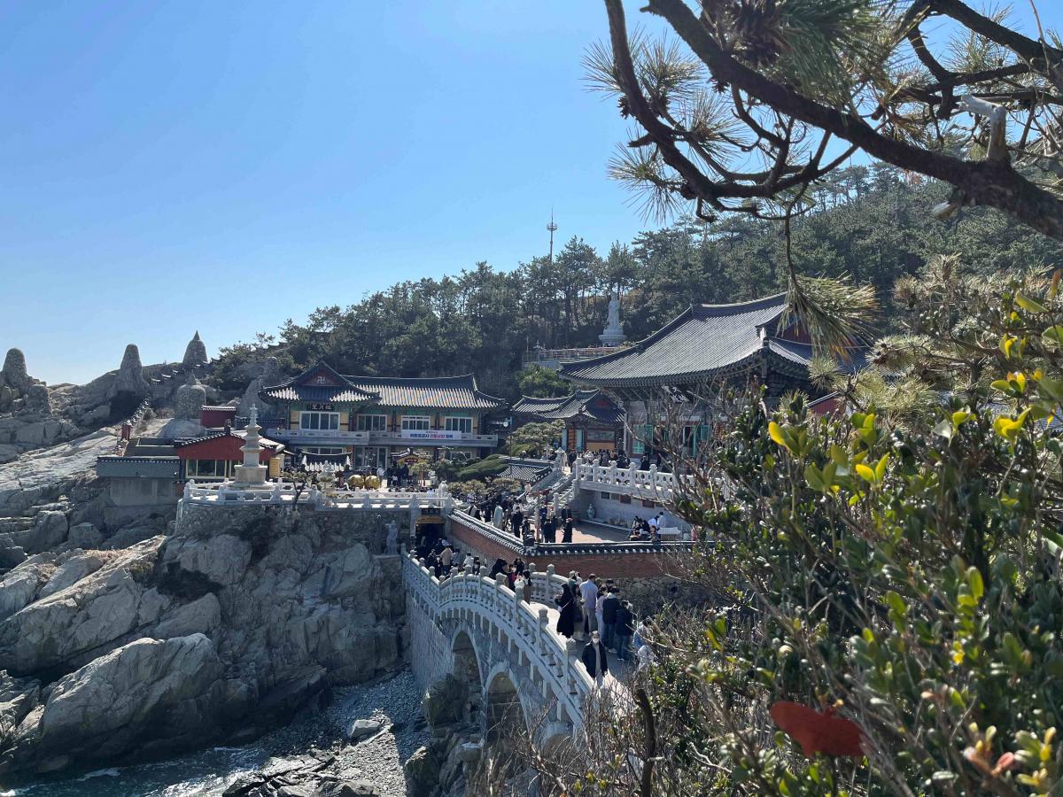Madeleine Gray - Haedong Yonggungsa Temple