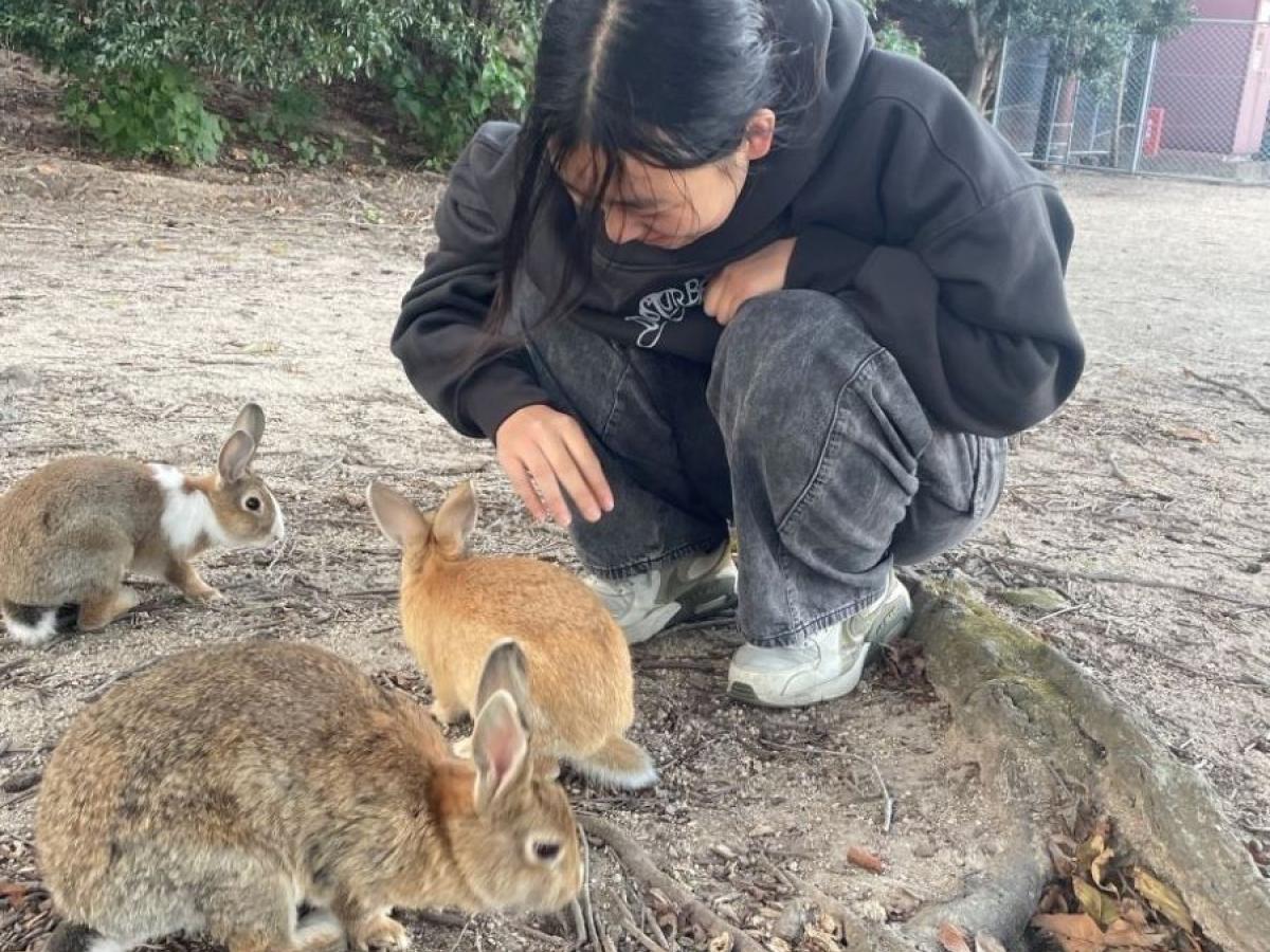 Xizi with bunnies on an island in Shikoku (Shimanami Kaido) (2024)