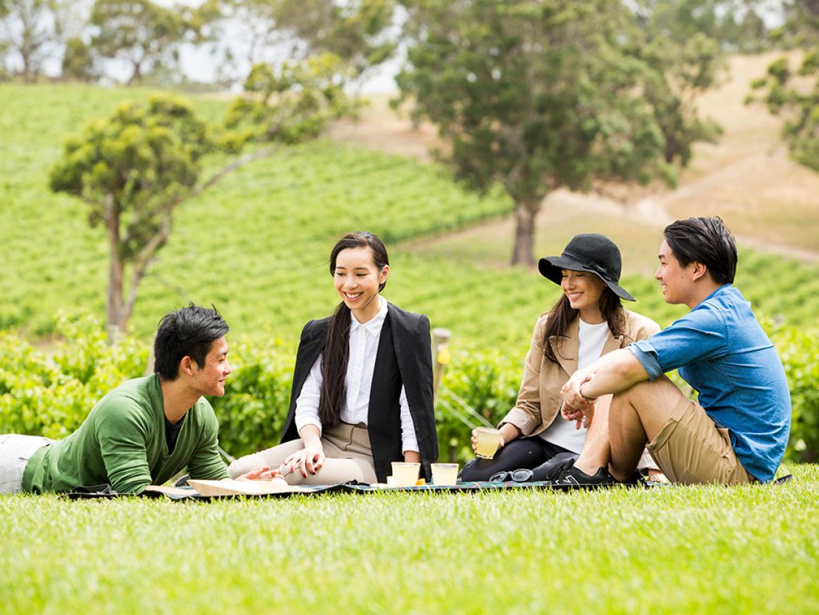 International students socialising in the countryside