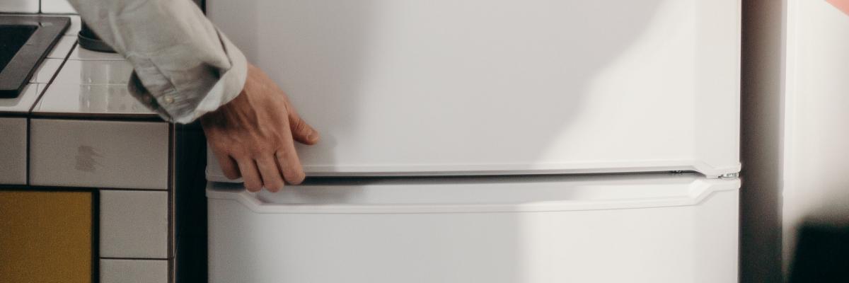 Hand opening fridge door
