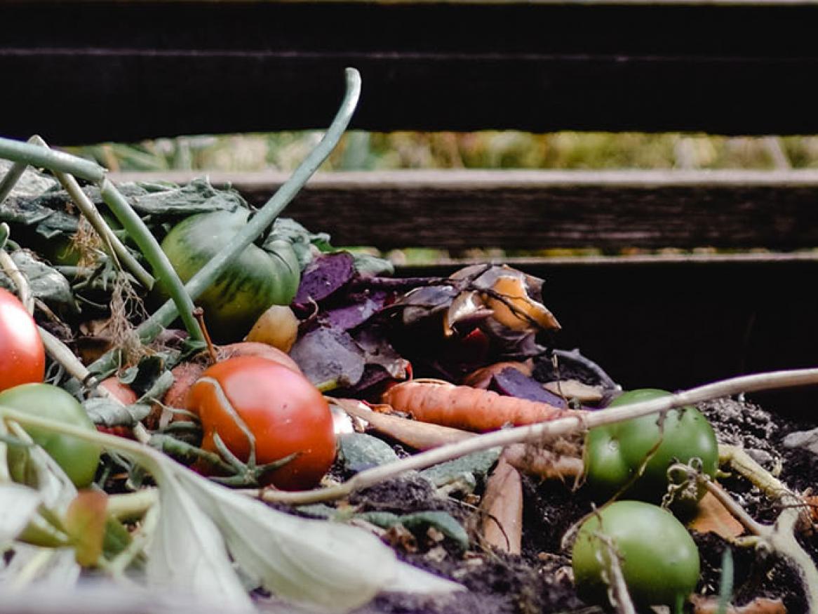 Food scraps for composting