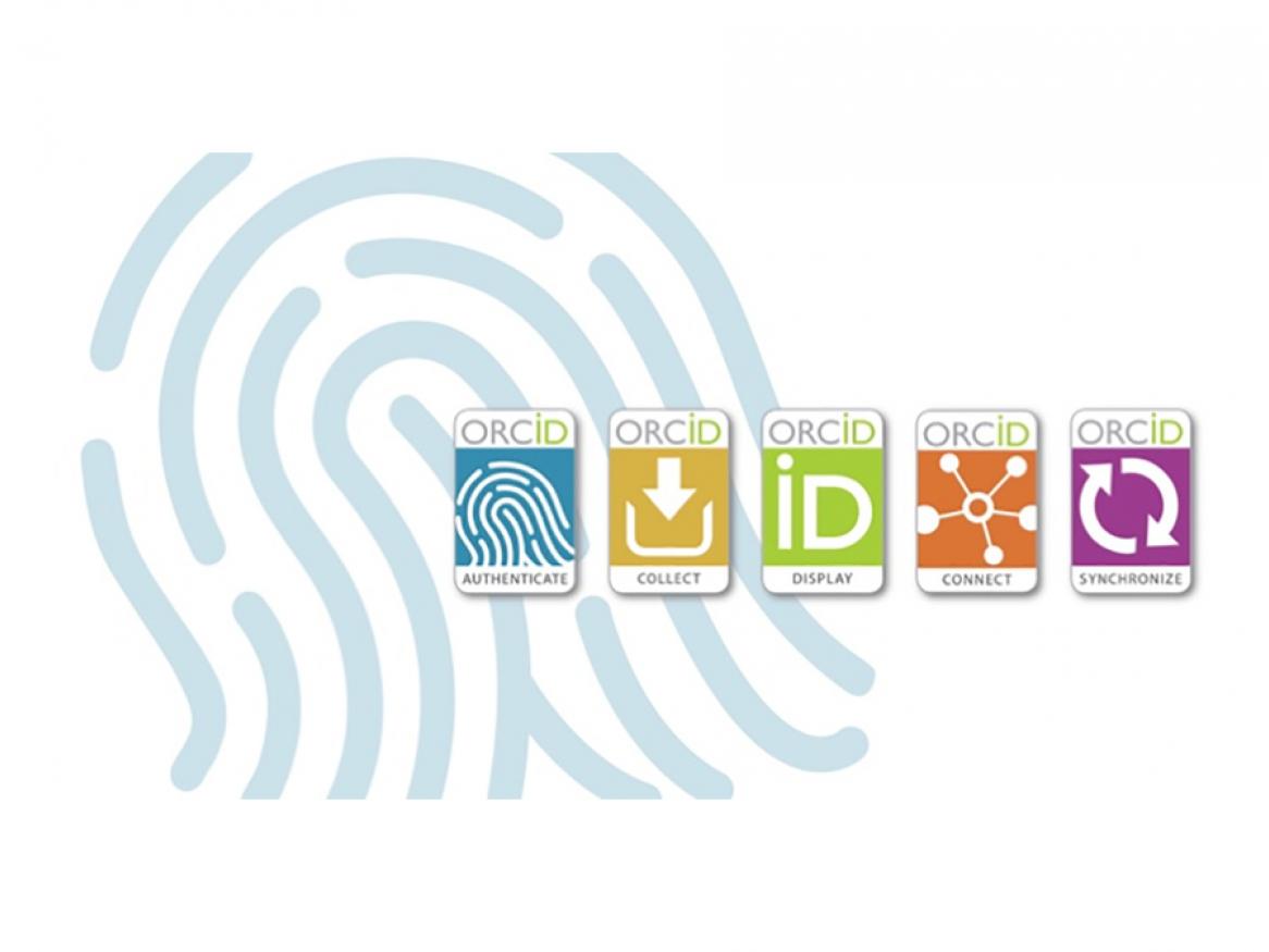 ORCiD - Authenticate > collect > display > connect > Sync