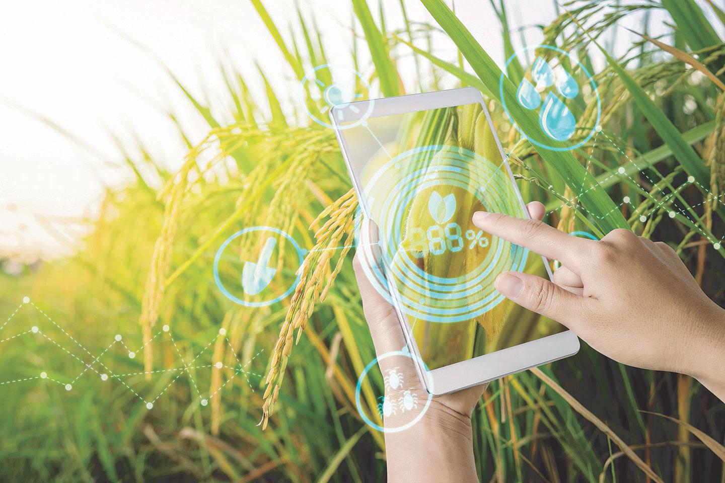 Agritech app phone
