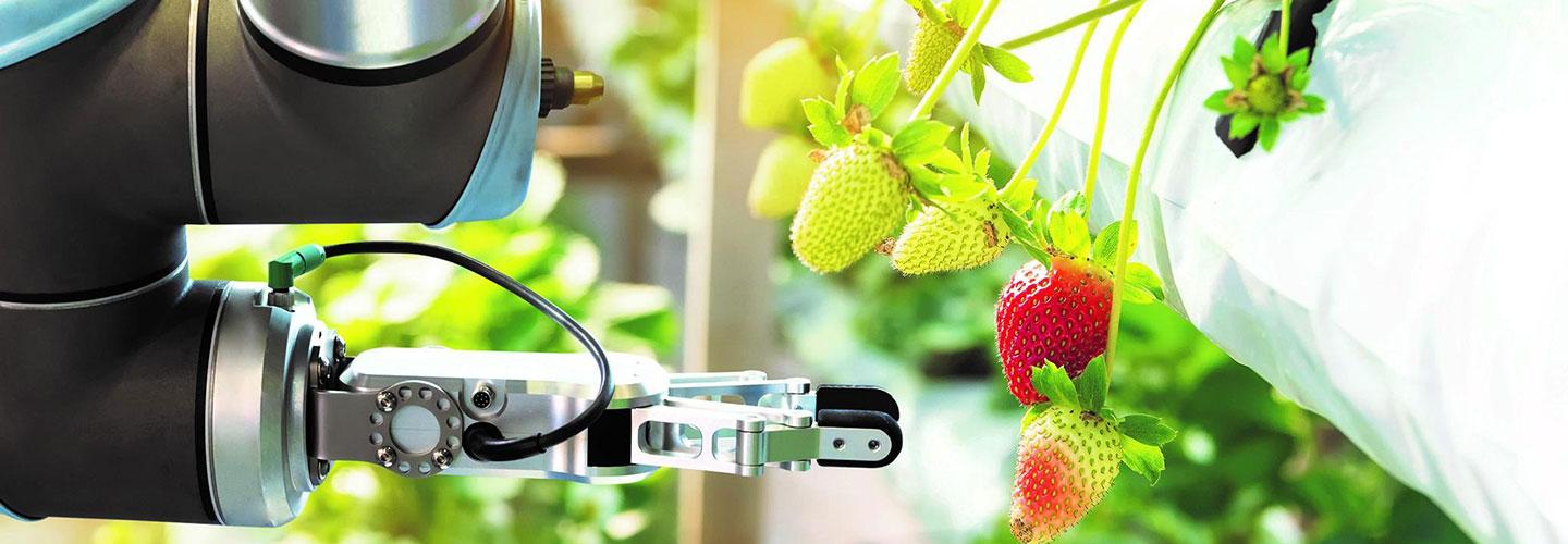 Agritech singapore