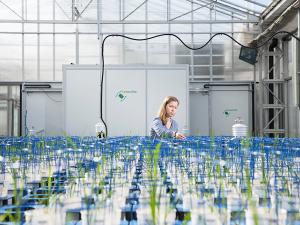 The Australian Plant Phenomics Facility and The Plant Accelerator® at Waite campus provides state-of-the-art plant phenotyping tools and expertise, contributing to key research outcomes in the fields of agriculture, food and wine.