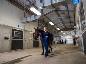 Our Equine Health & Performance Centre is home to purpose built operating theatres, recovery and neonatal stalls, sports medicine facilities, and reproductive and isolation wards. Veterinarians, technicians and veterinary students work as a team to provide the best possible health care for horses using advanced imaging in CT and surgical techniques.
