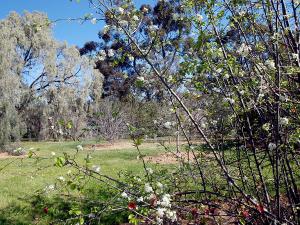 Open free to the public every day of the year from dawn to dusk, the Waite Arboretum occupies 27 hectares and contains about 2,500 specimens representing more than 800 species in 200 genera.