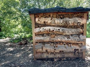The Native Bee Hotel in the Waite Arboretum adjacent the Urrbrae House gardens provides a great home for native bees. The hotel encourages our native pollinators to the gardens.