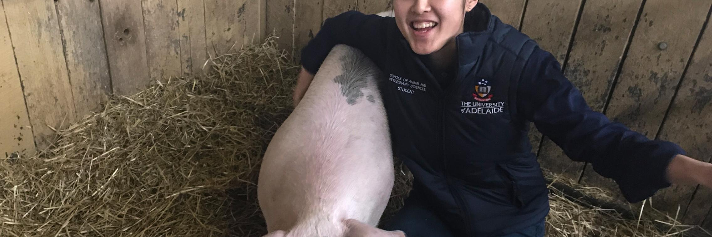 Molly Oshiro with a pig at the Royal Adelaide Show