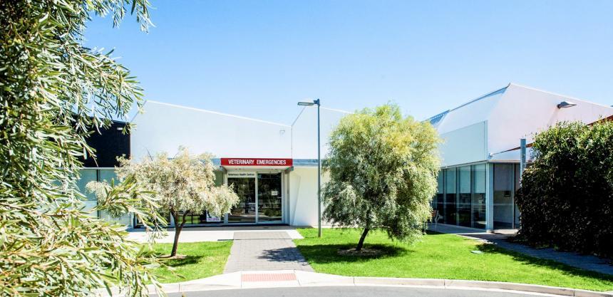 Companion Animal Health Centre