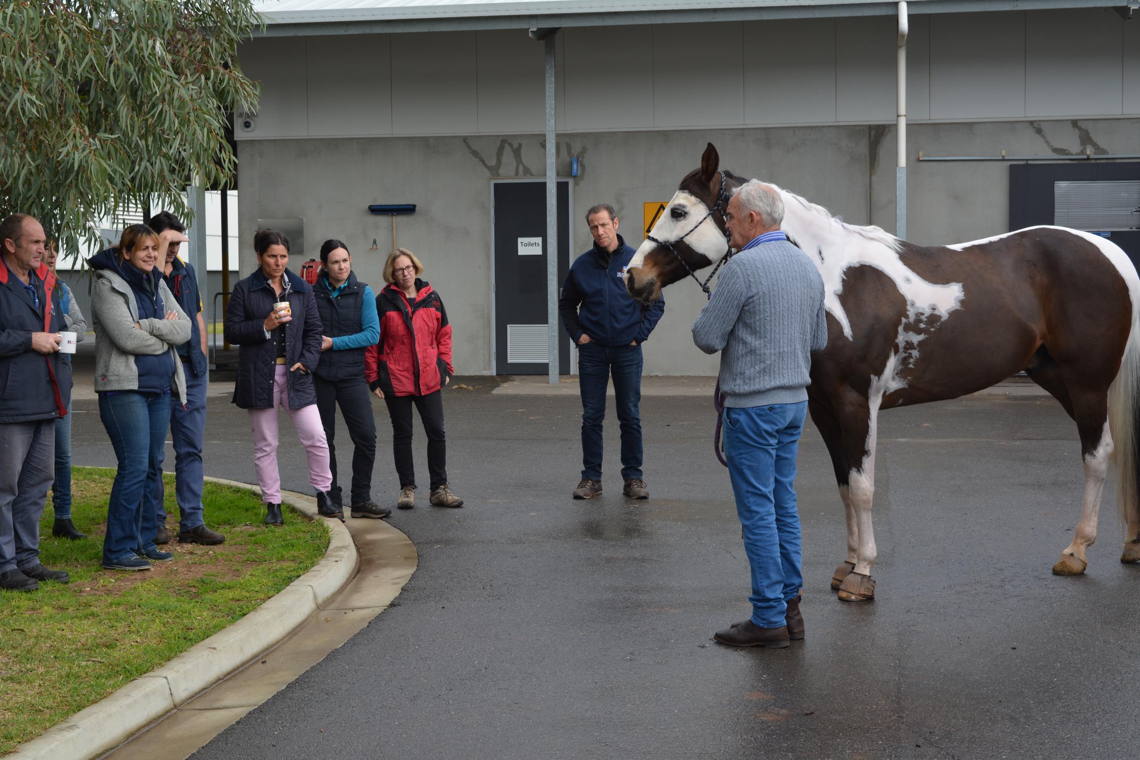 Equitation Science workshop - Dr McLean and staff