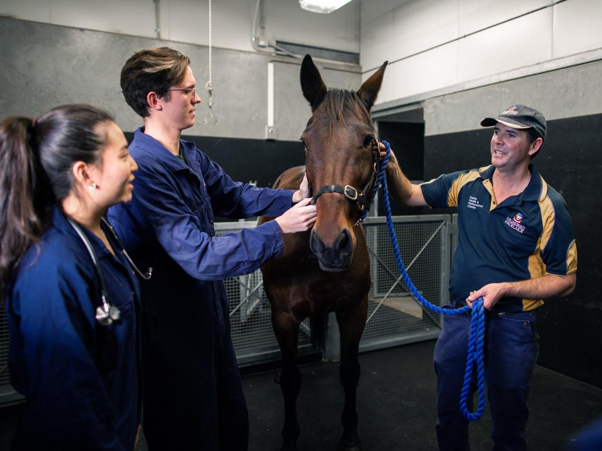 Equine clinic and students