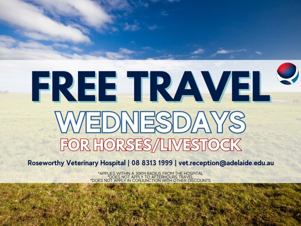 Free Travel Wednesday