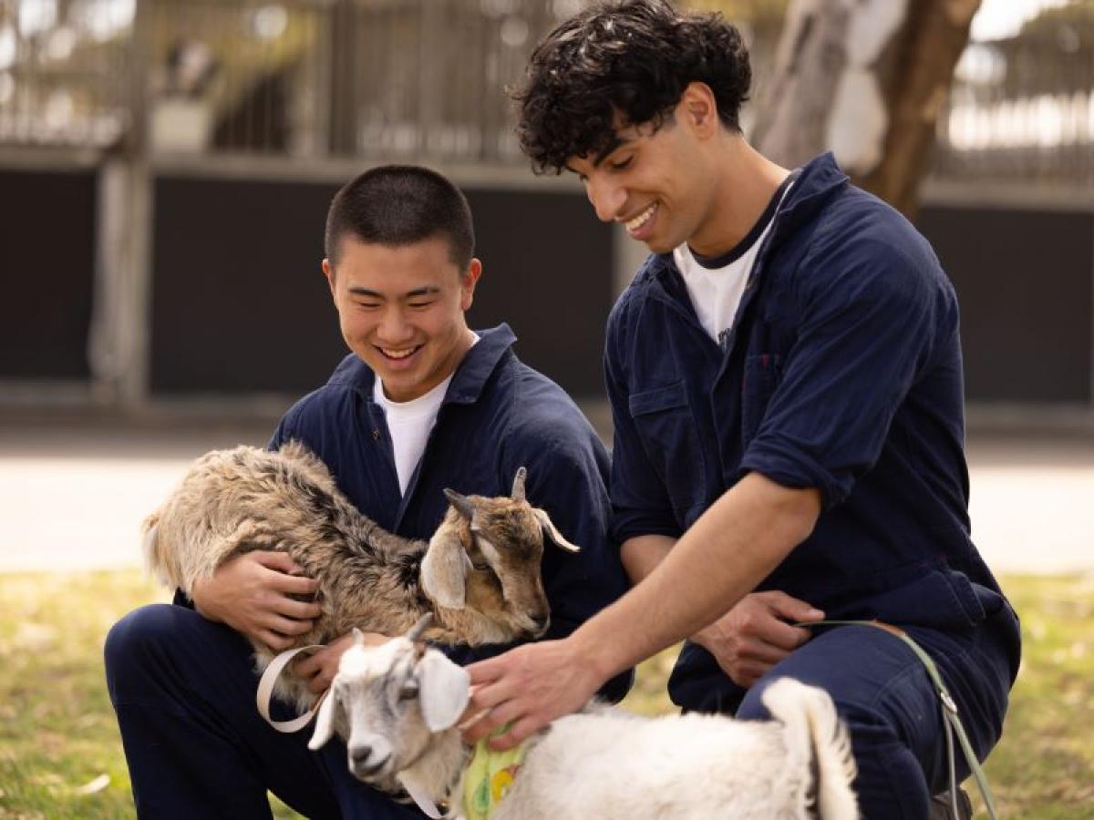 Students holding goats