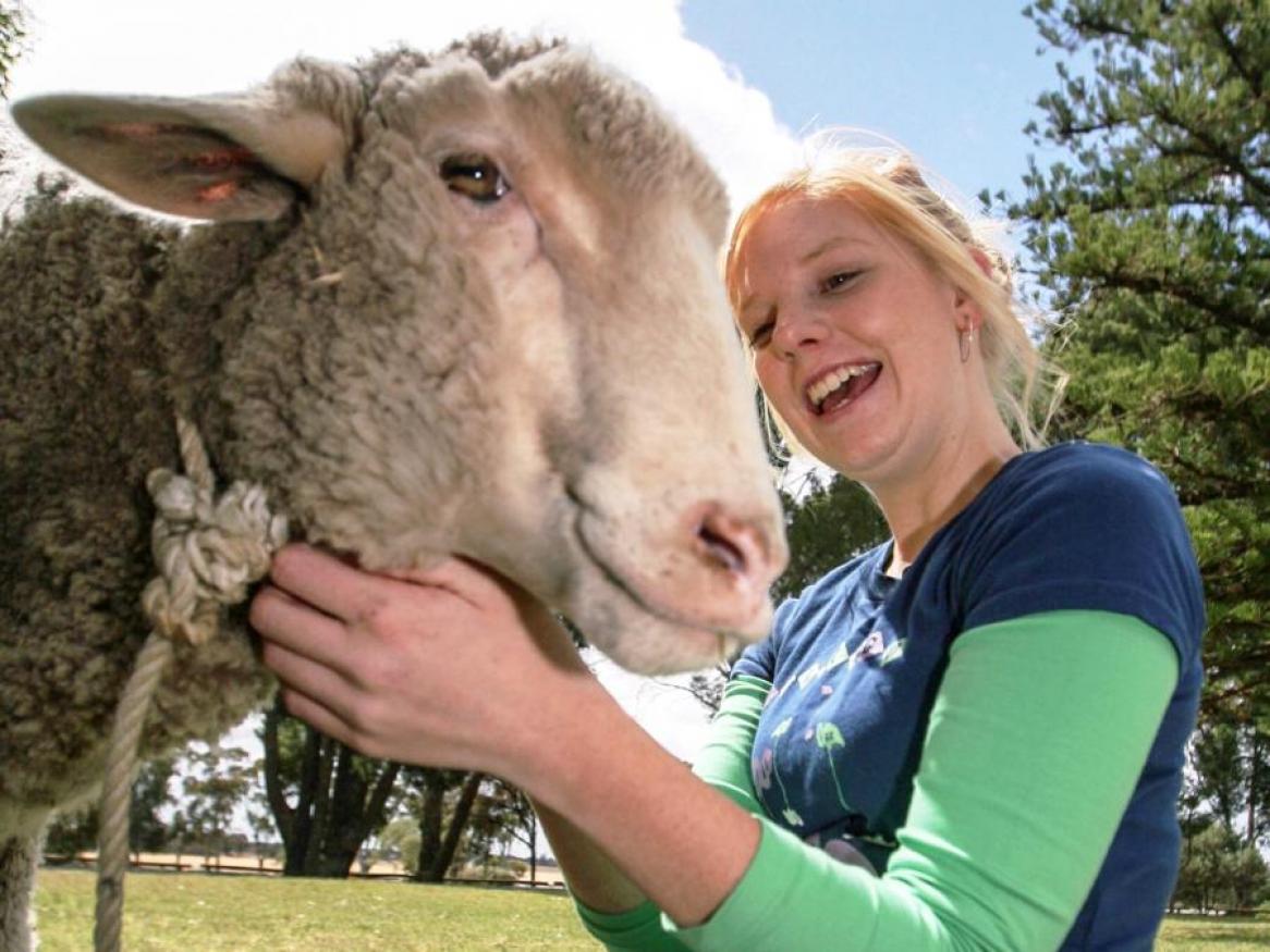 Production Animal Health Centre Facebook page