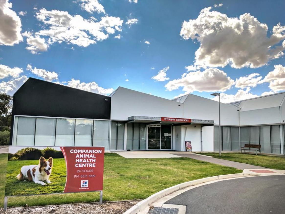 Veterinary Health Centres University Of Adelaide