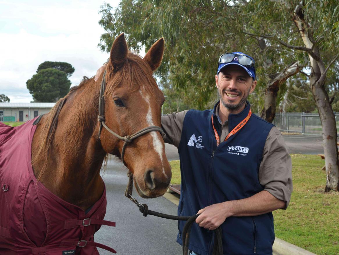 Dr. Paul Lubbe joins the RVH for Equine Reproduction Services.