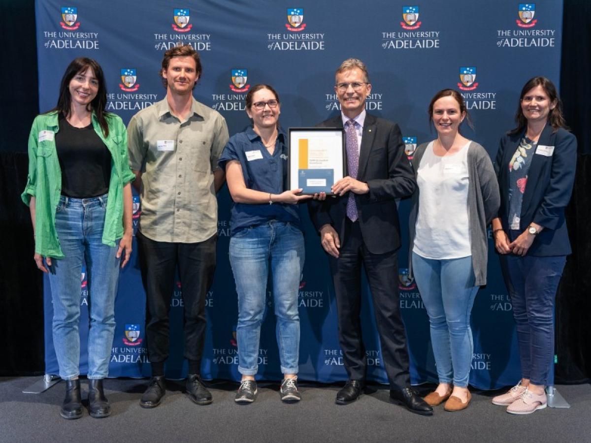 volunteer group of the year tern