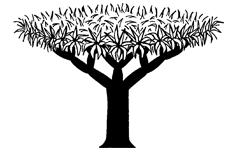The Waite Arboretum logo