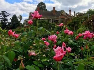Urrbrae House Rose Garden