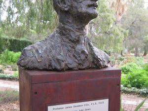 Garden Of Discovery - James Davidson Sculpture
