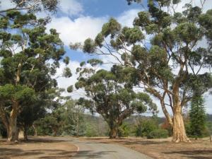 Arboretum entrance