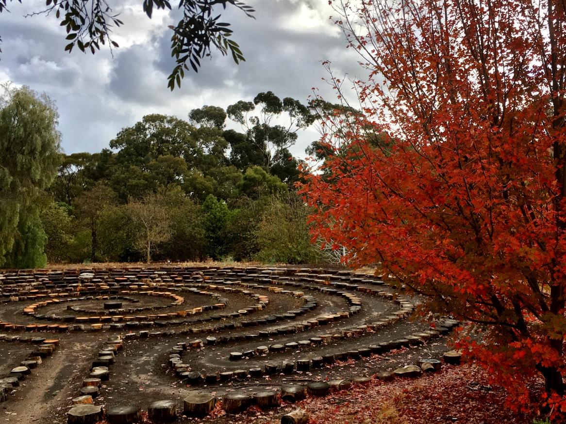 The Labyrinth viewed from the Urrbrae House gardens. The Labyrinth is situated where the Waite family once had their tennis court.