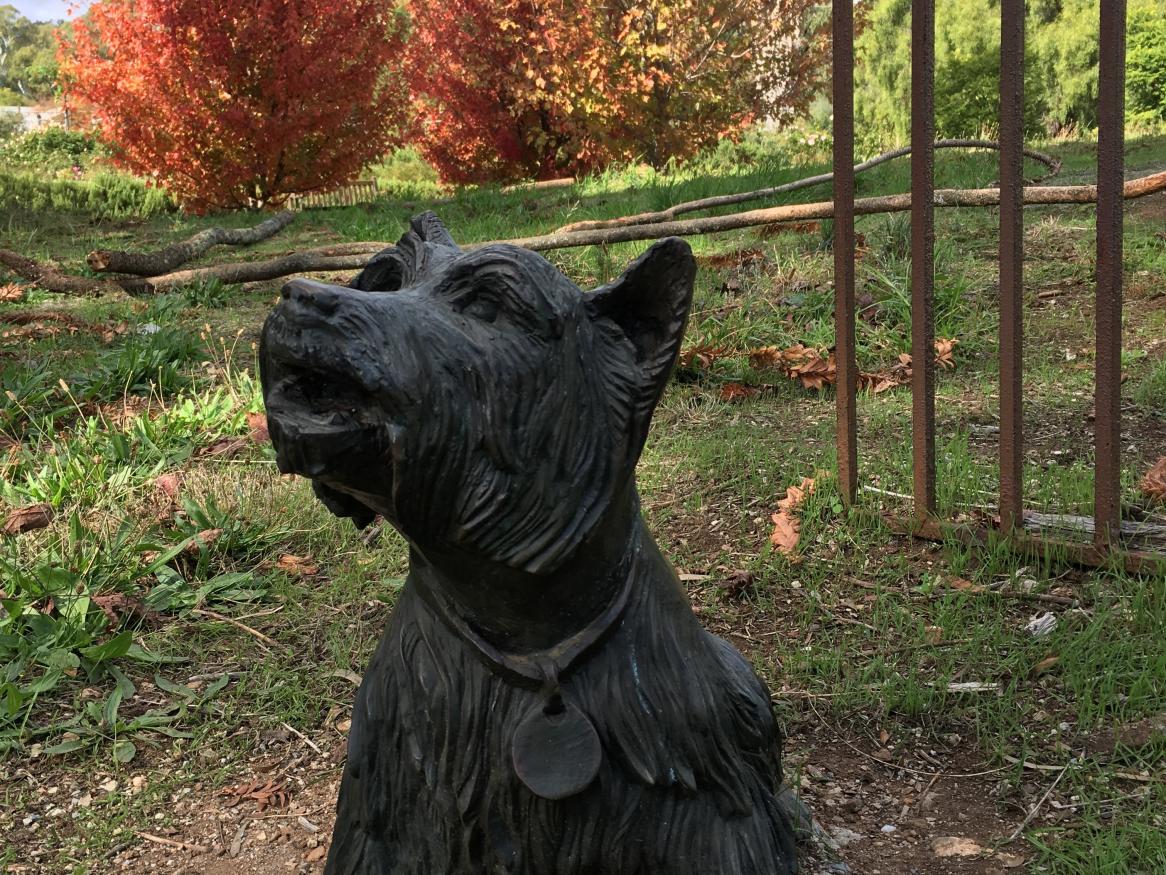 Waite Arboretum Sculpture of Shrimp, Peter Waite's dog