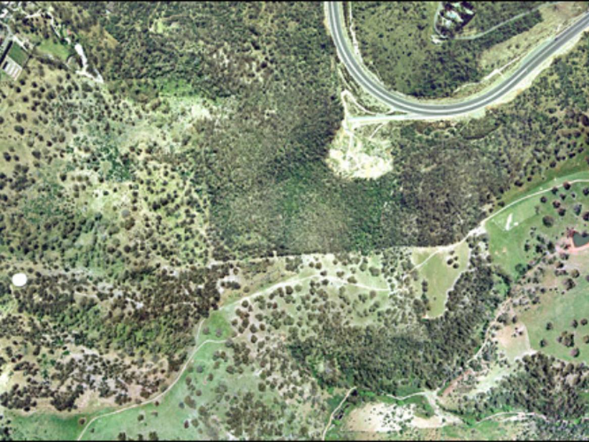 Waite Conservation Reserve aerial view