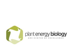 Plant Energy Biology