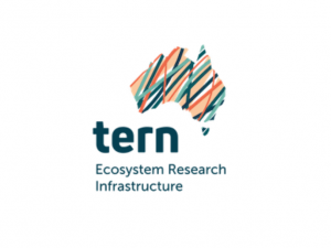 TERN