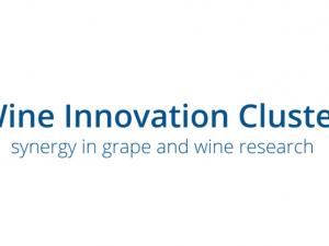 Wine Innovation Cluster