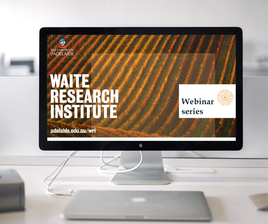 WRI webinar image