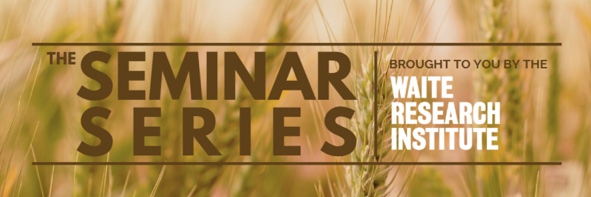 The seminar series