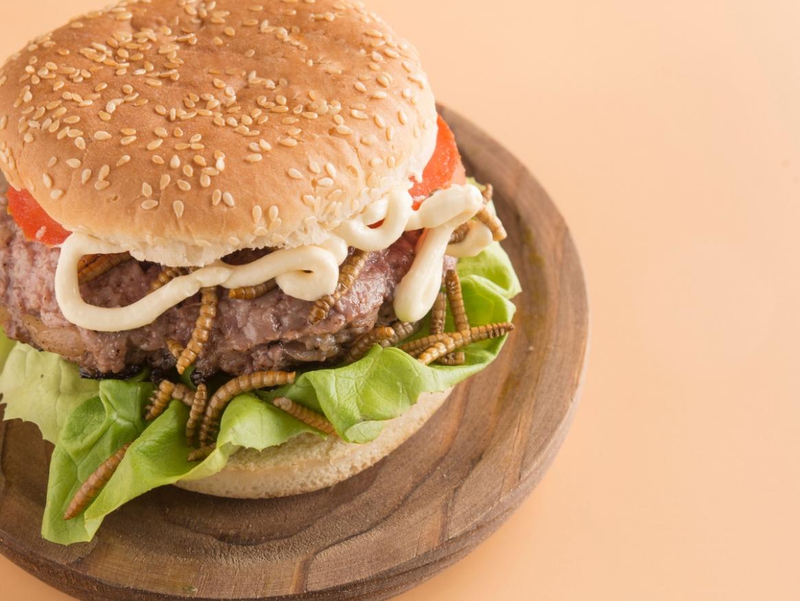 mealworm burger