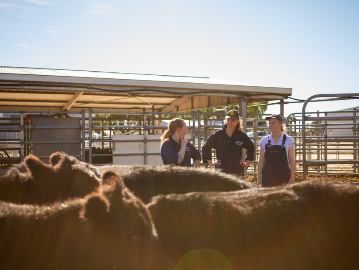 Veterinary and animal science