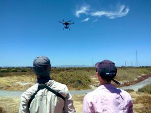 Researchers with drones at Mutton Cove - Researchers using drones to monitor coastal habitats at Mutton Cove.