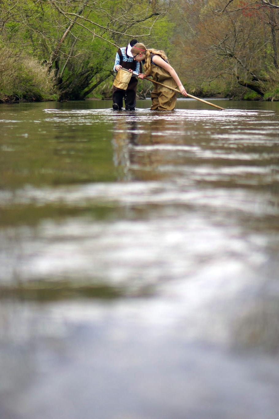 Aquatic micro invertebrates