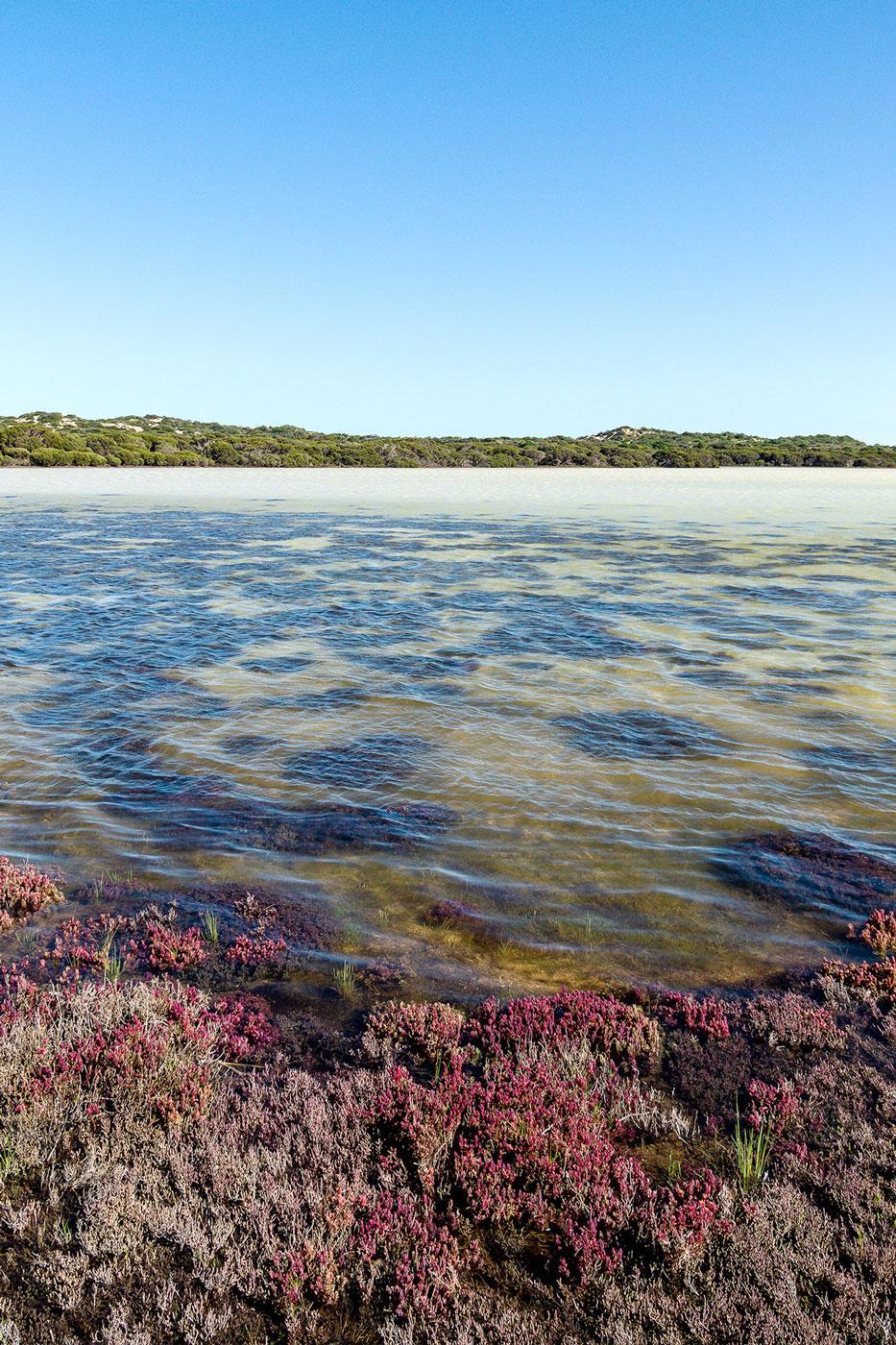 Coorong